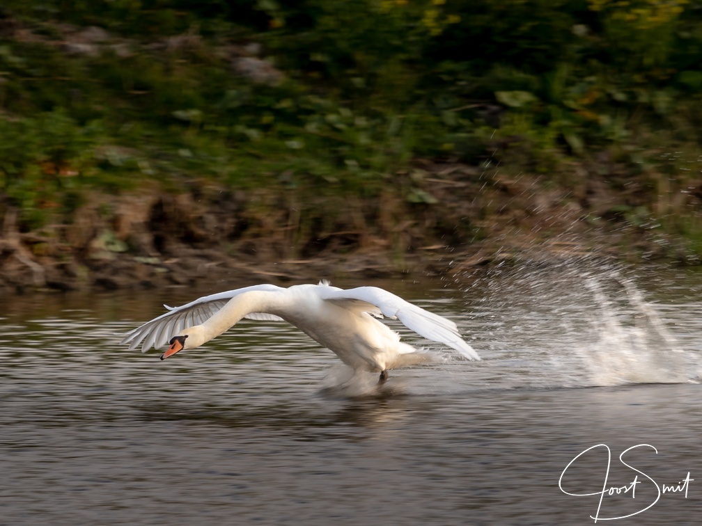 Ready for take-off - KLM momentje