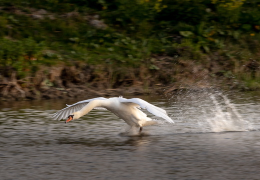 Ready for take-off - KLM momentje