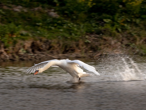 Ready for take-off